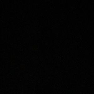 Meet your Posher, Liz